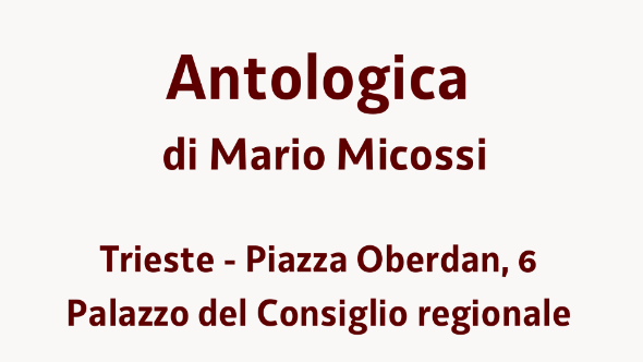 Immagine decorativa