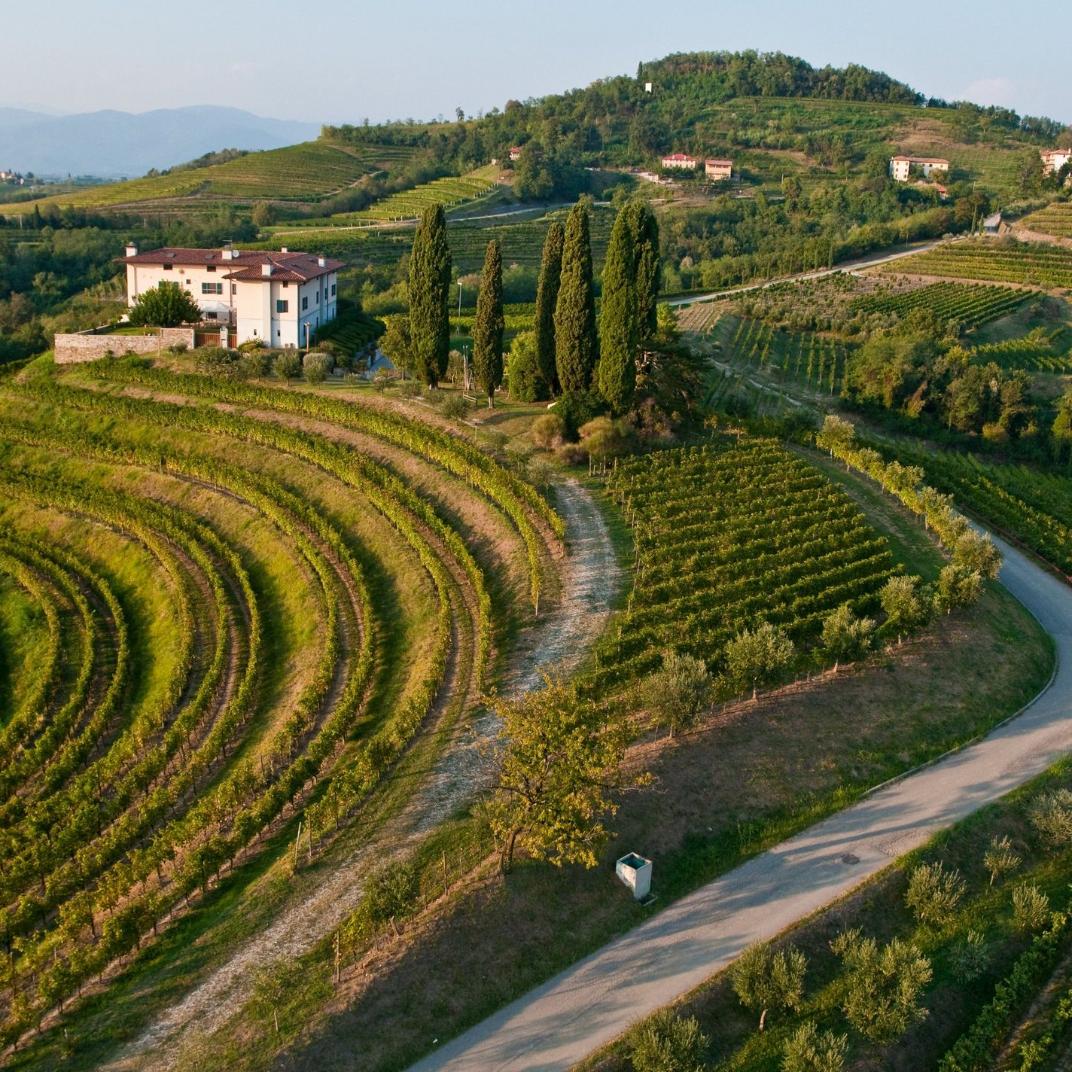 Collio (italijanska Brda)