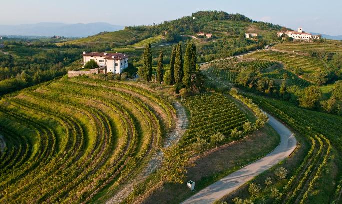 Collio (italijanska Brda)