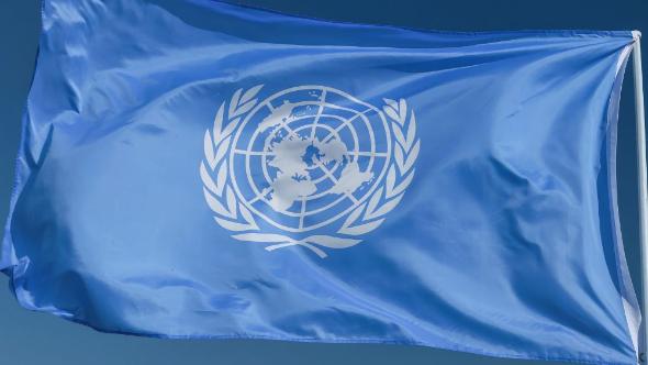 Immagine decorativa
