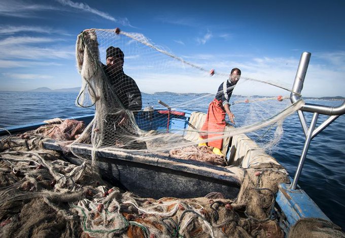 Disciplina del pescaturismo, ittiturismo e delle attività connesse alla pesca professionale e all'acquacoltura