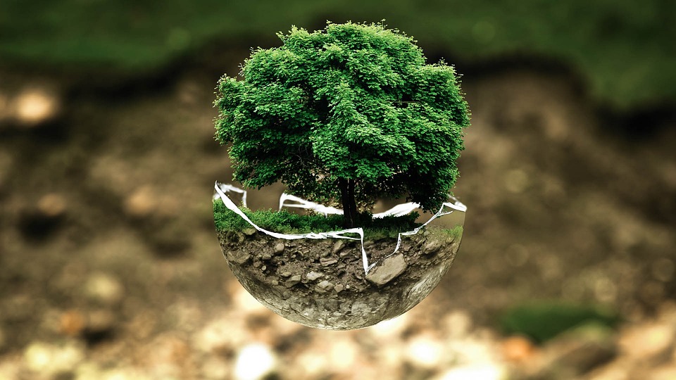 Disposizioni per lo sviluppo sostenibile e la transizione ecologica del Friuli Venezia Giulia