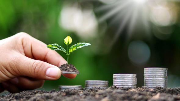 Legge di stabilità 2026, Legge collegata e Bilancio di previsione per gli anni 2026-2028