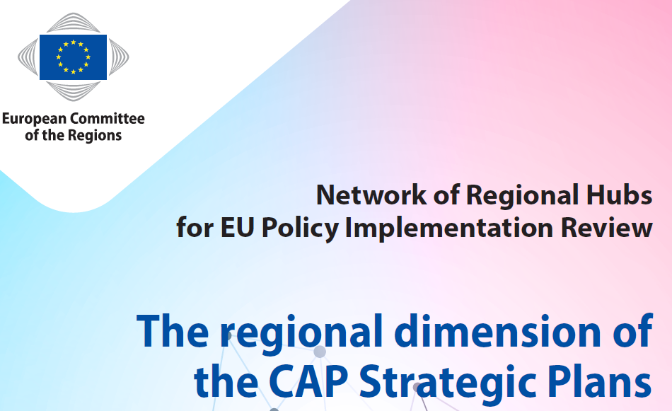 RegHub consultation on the regional dimension of the CAP Strategic Plans