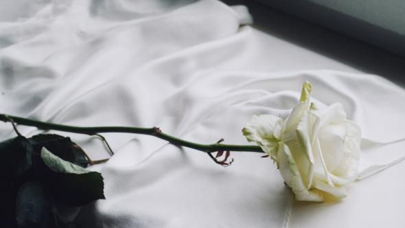 Giornata Nazionale della Memoria e dell'Impegno in ricordo delle vittime innocenti delle mafie