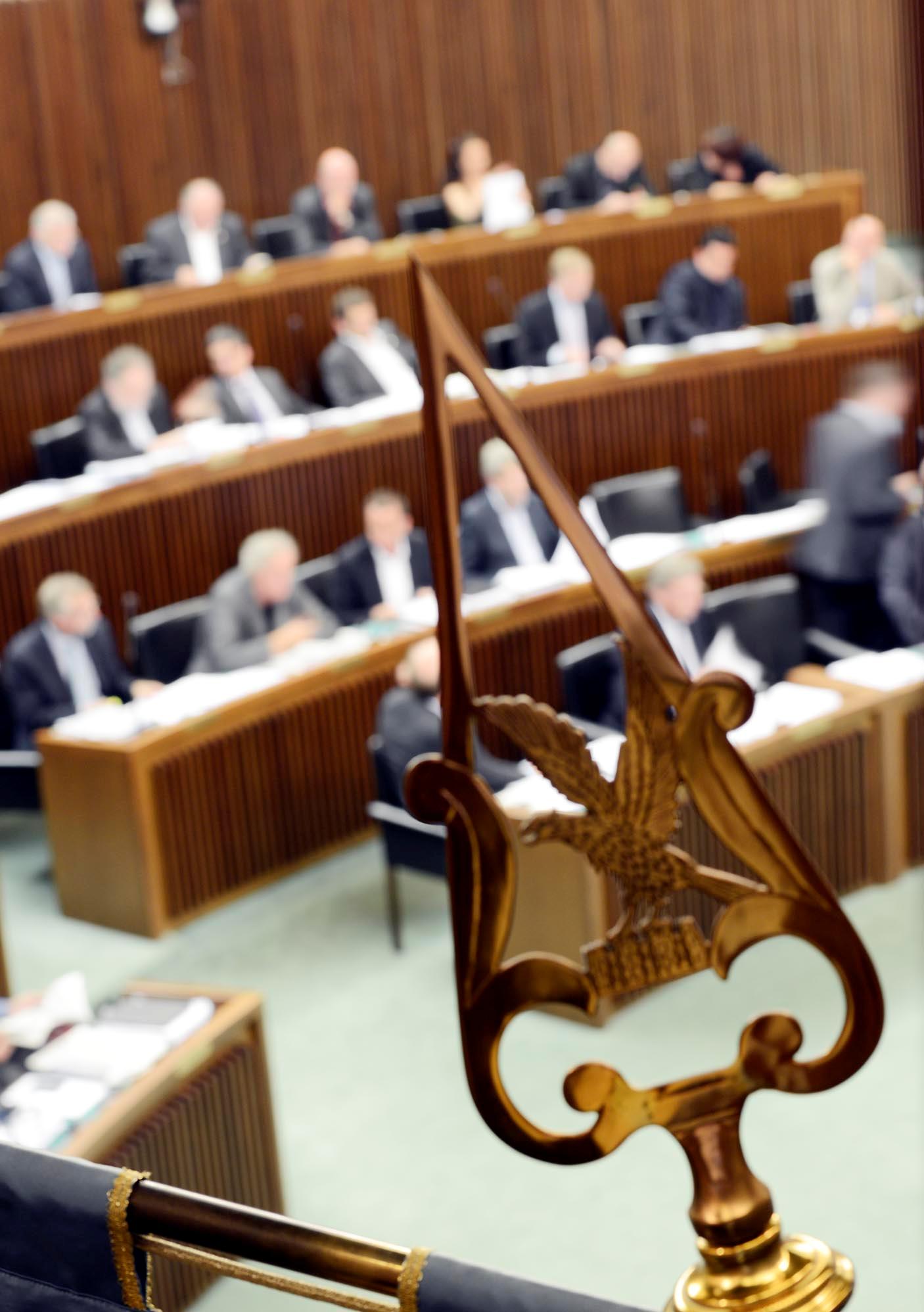 Aula consiliare, puntale del gonfalone (foto CR) 